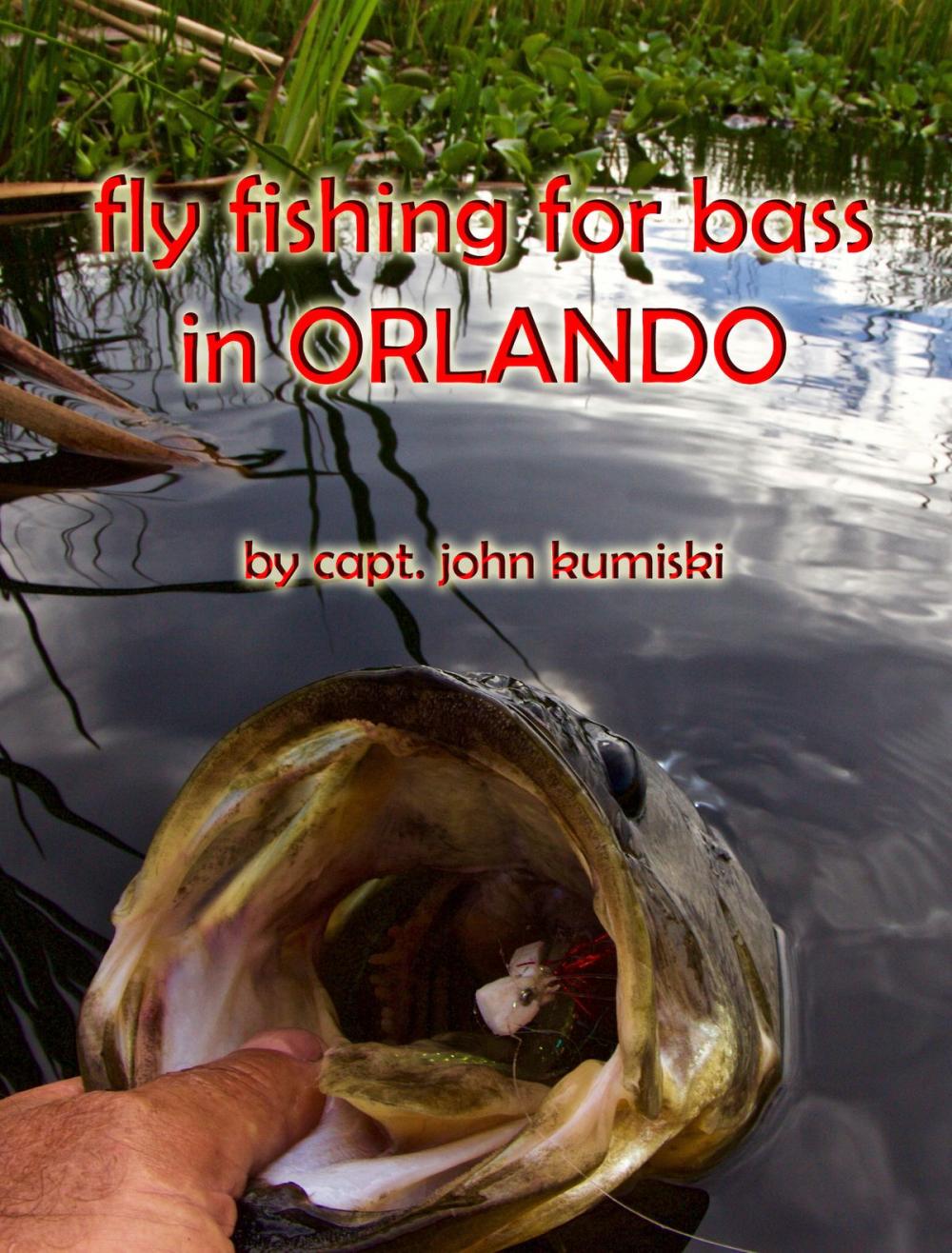 Big bigCover of Fly Fishing for Bass in Orlando