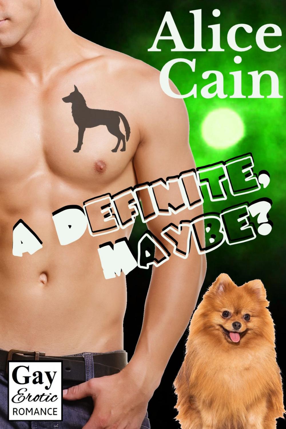 Big bigCover of A Definite, Maybe? [Gay Erotic romance]