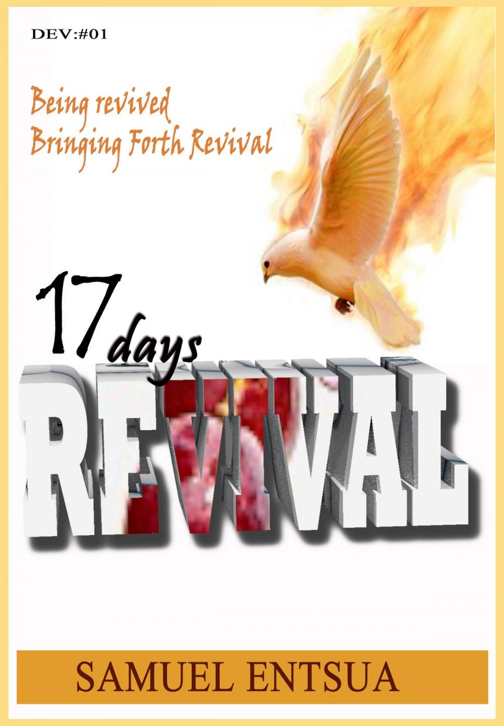 Big bigCover of 17 Days Revival