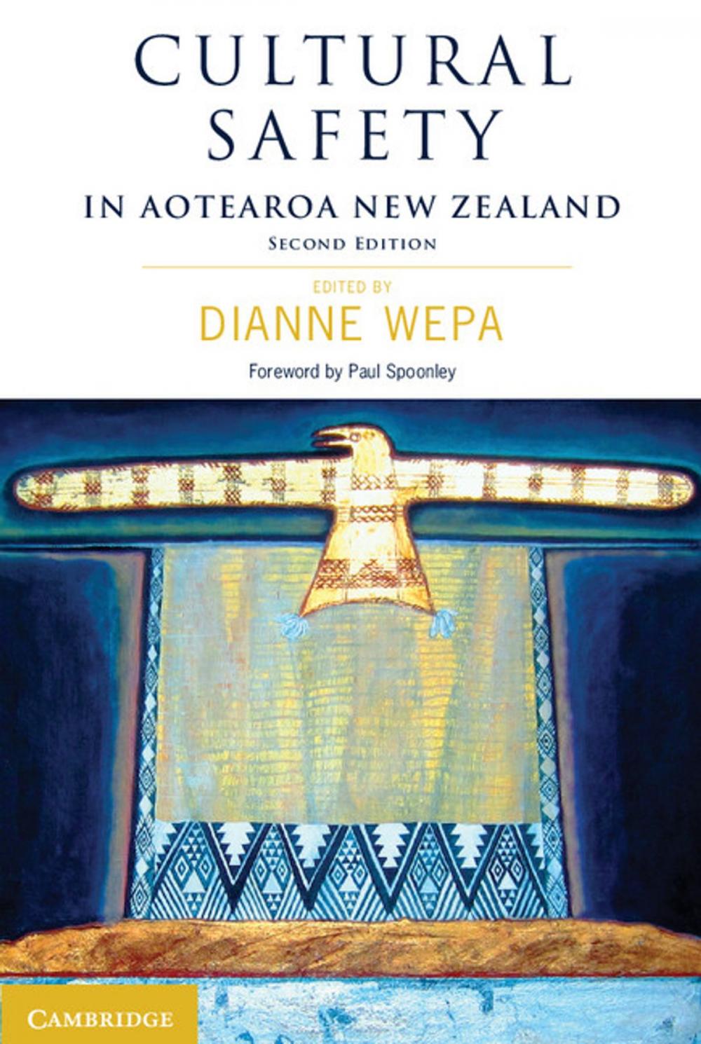 Big bigCover of Cultural Safety in Aotearoa New Zealand
