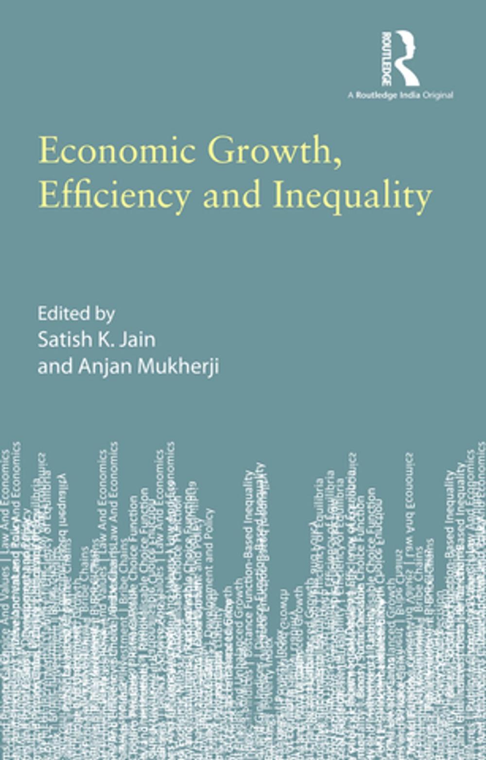 Big bigCover of Economic Growth, Efficiency and Inequality