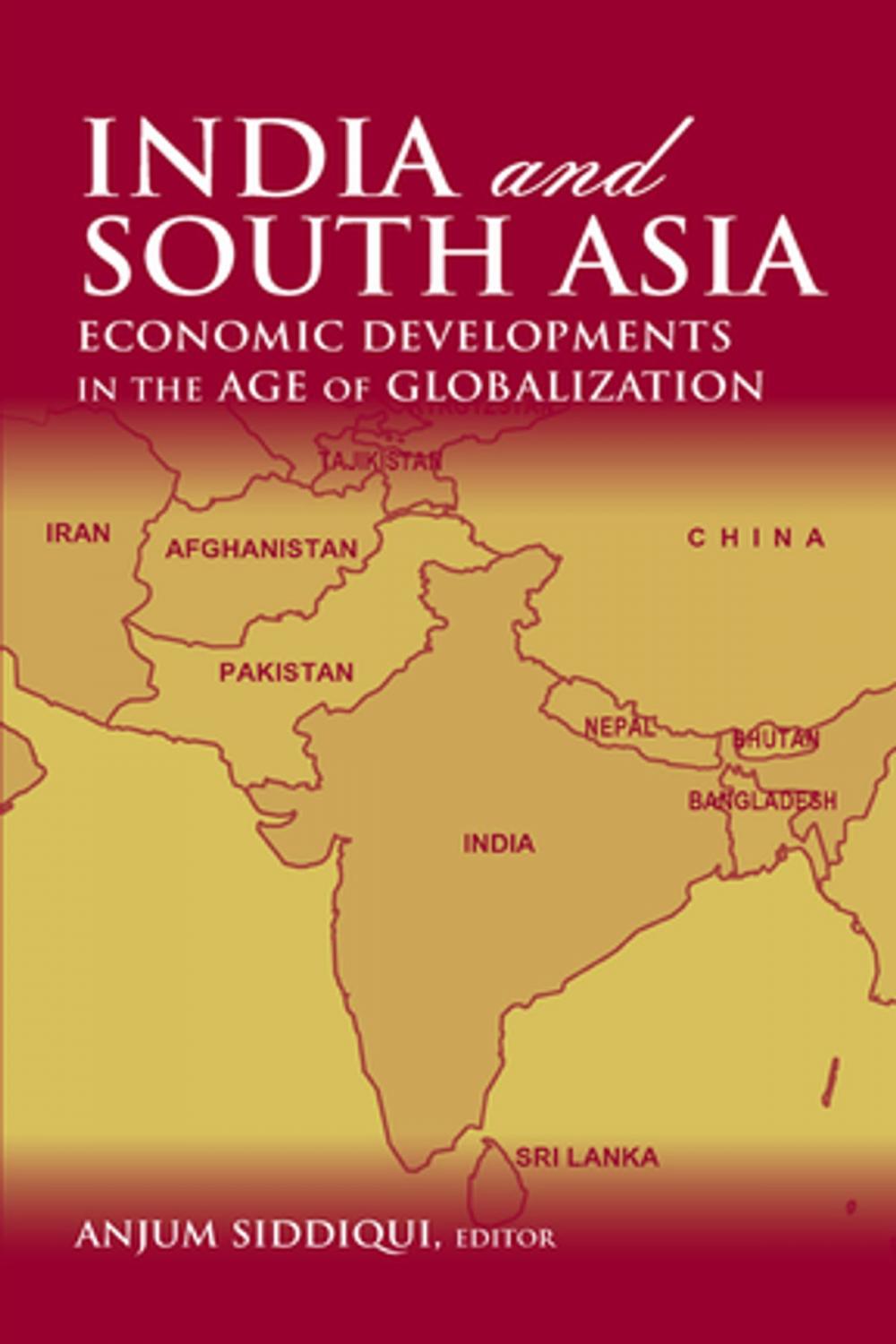 Big bigCover of India and South Asia: Economic Developments in the Age of Globalization