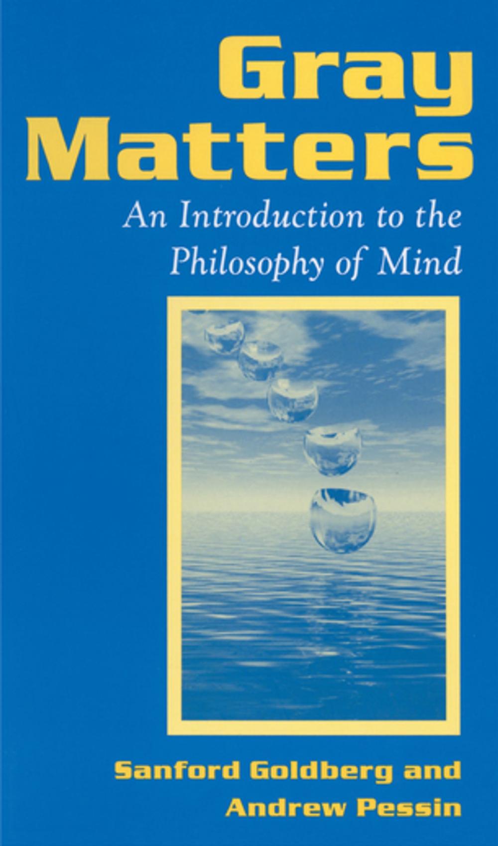 Big bigCover of Gray Matters: Introduction to the Philosophy of Mind