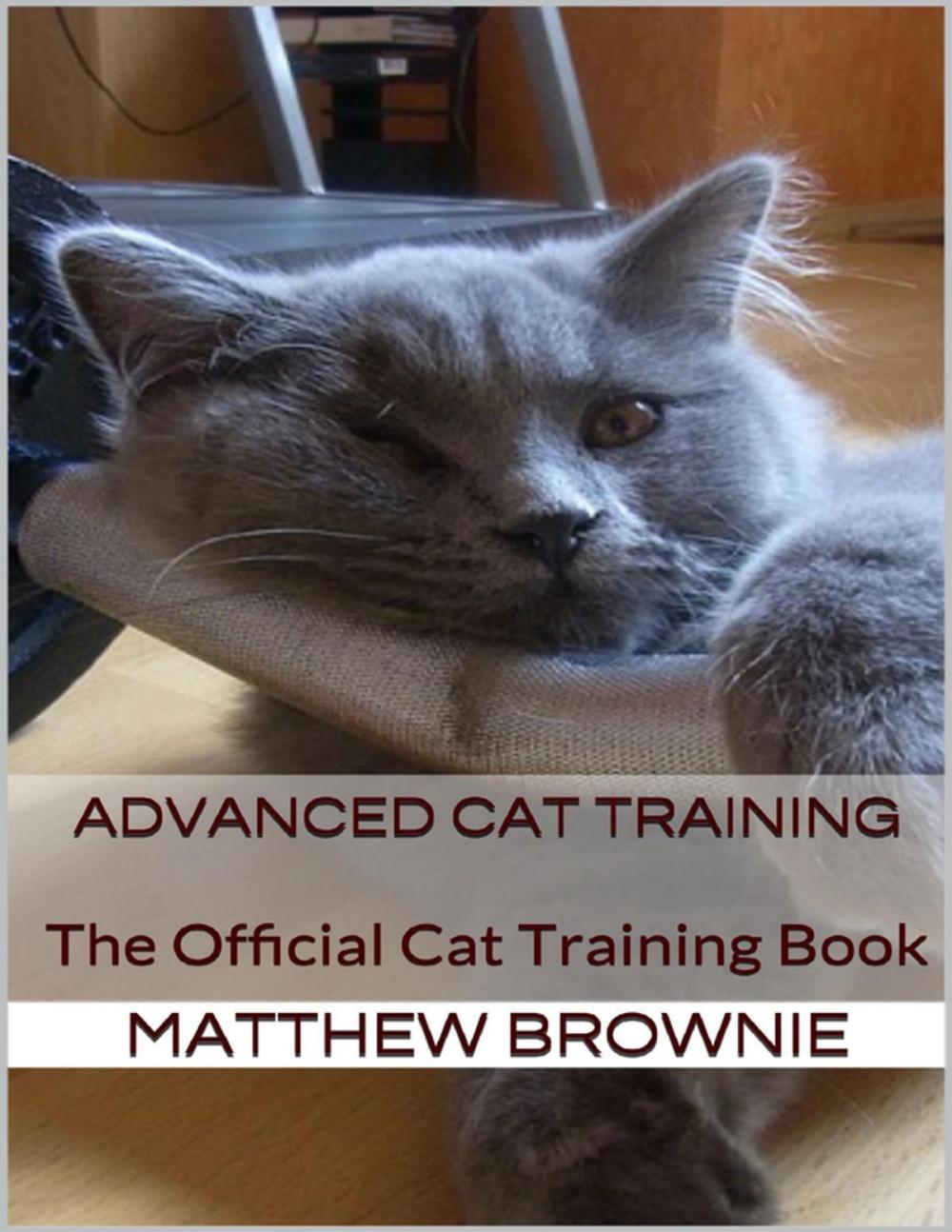 Big bigCover of Advanced Cat Training: The Official Cat Training Book