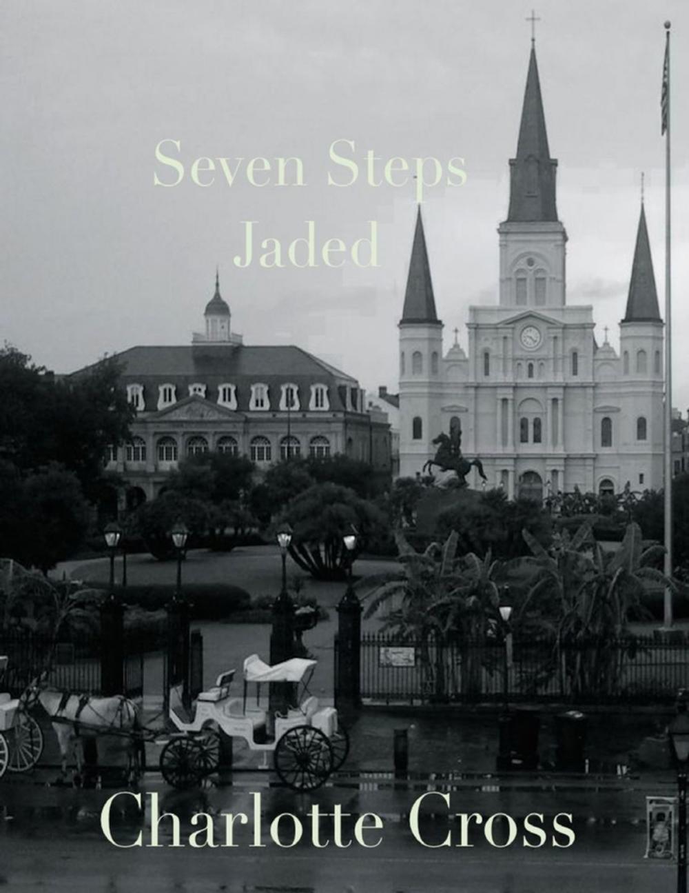 Big bigCover of Seven Steps: Jaded