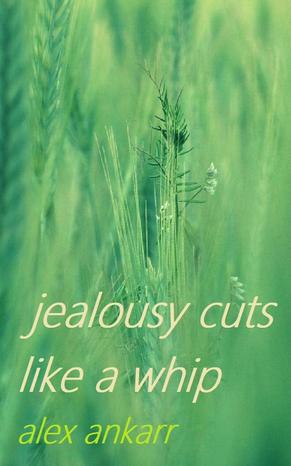 Big bigCover of Jealousy Cuts Like A Whip