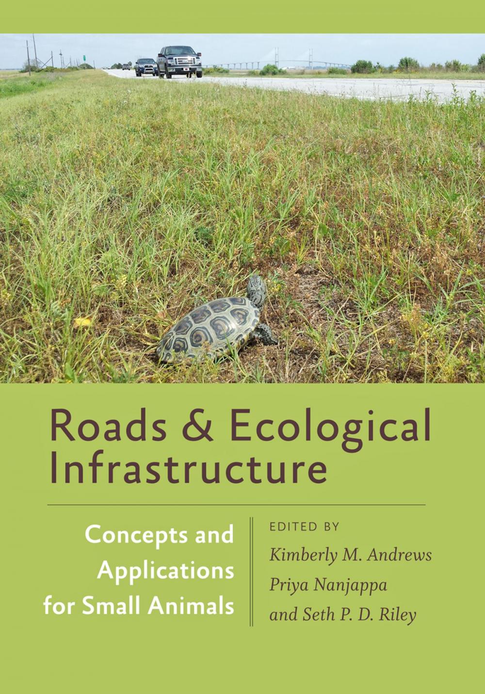 Big bigCover of Roads and Ecological Infrastructure