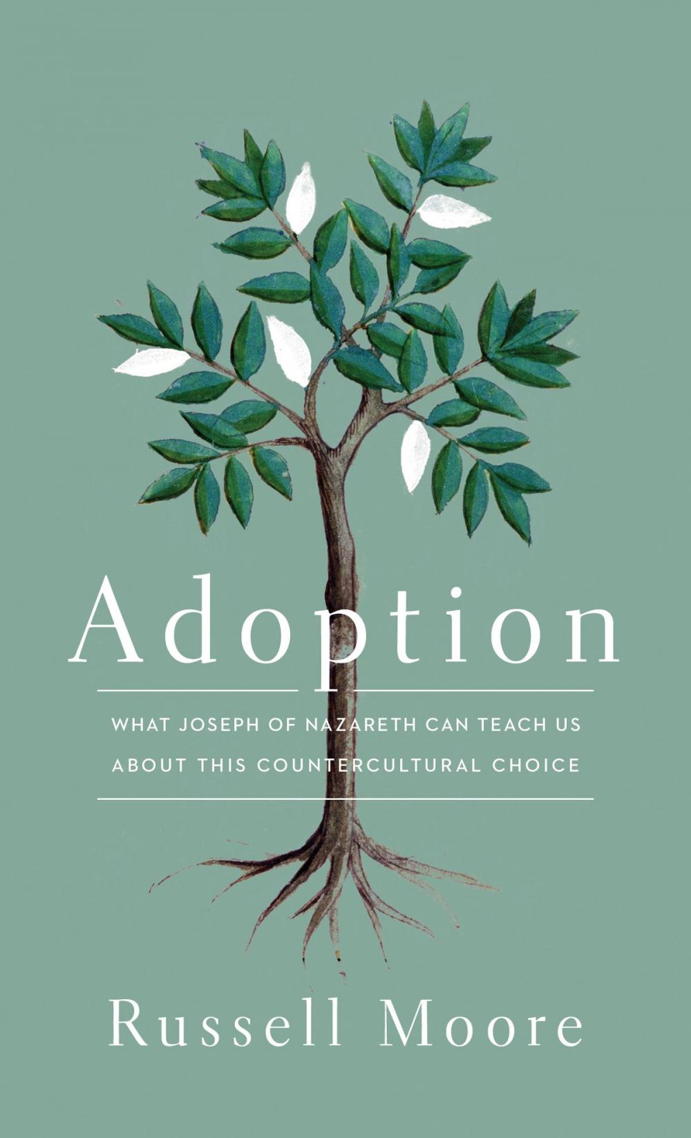 Big bigCover of Adoption