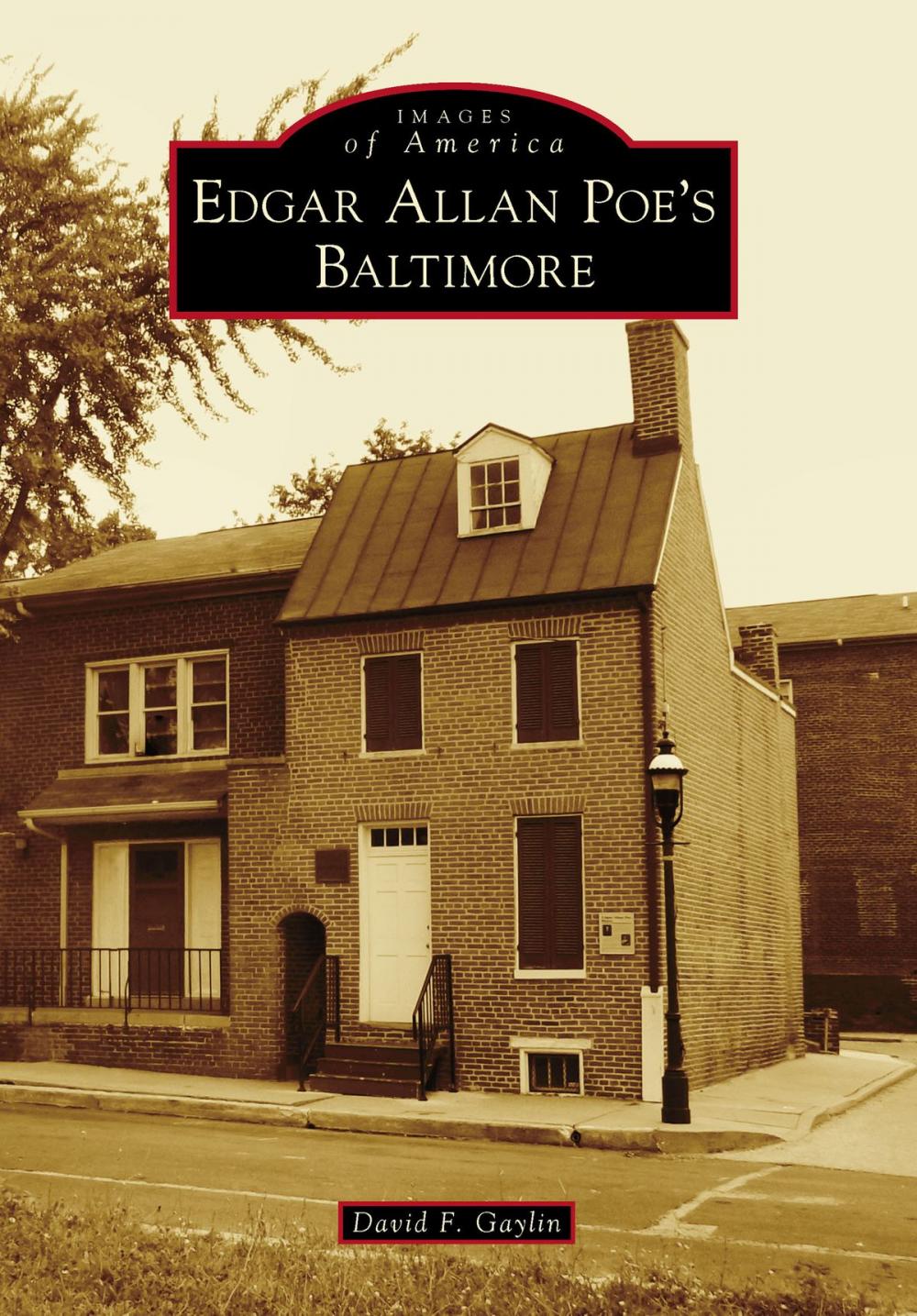 Big bigCover of Edgar Allan Poe's Baltimore