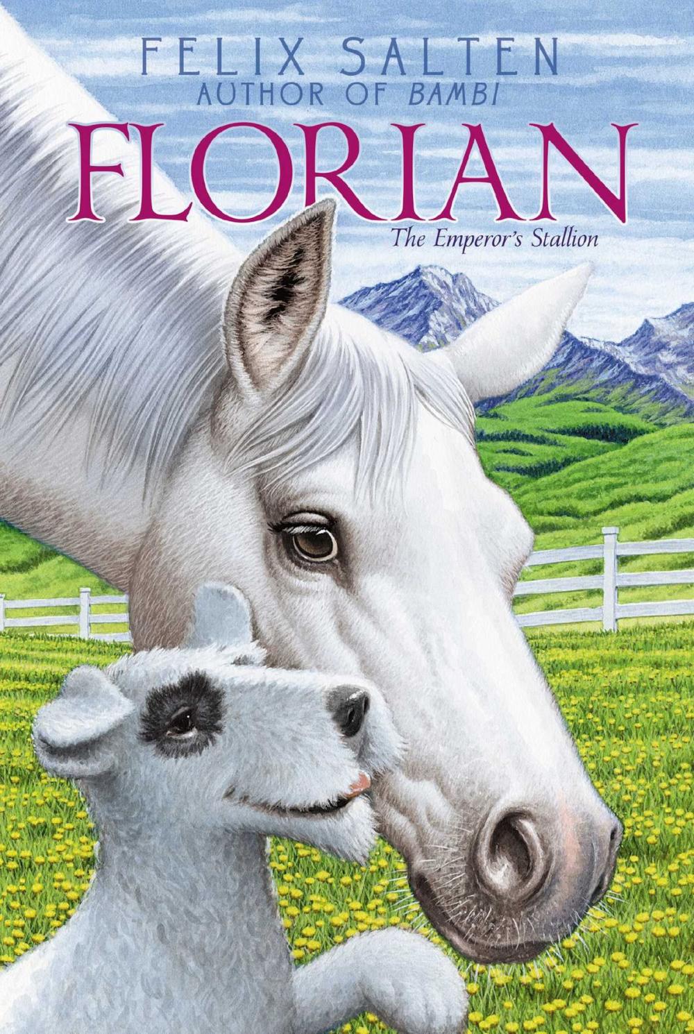 Big bigCover of Florian