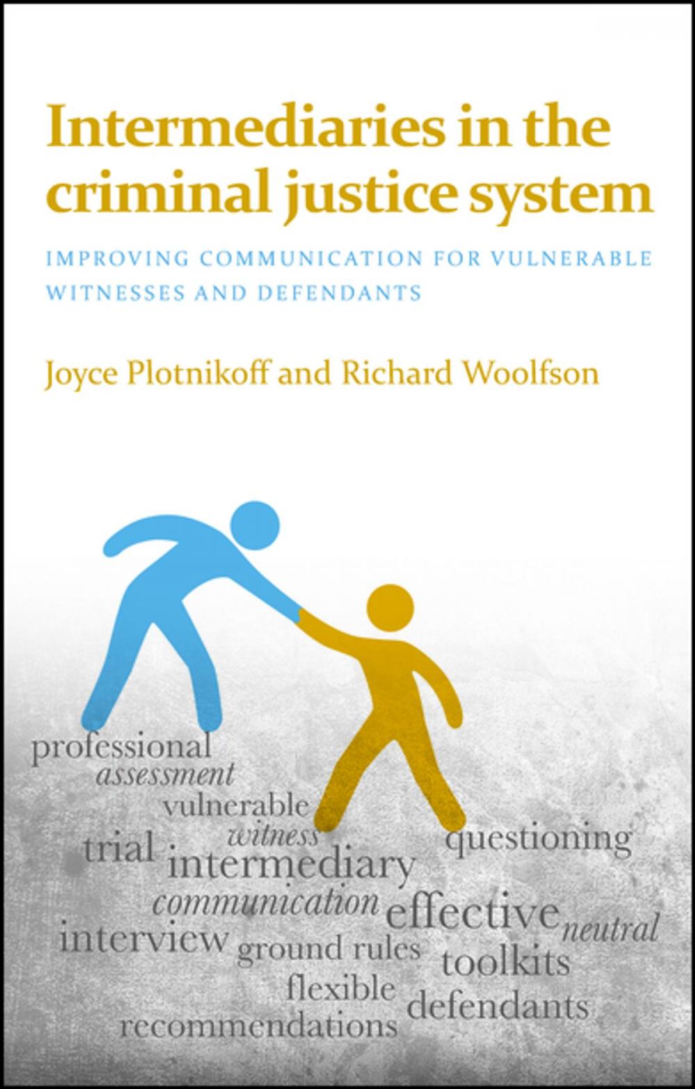 Big bigCover of Intermediaries in the criminal justice system