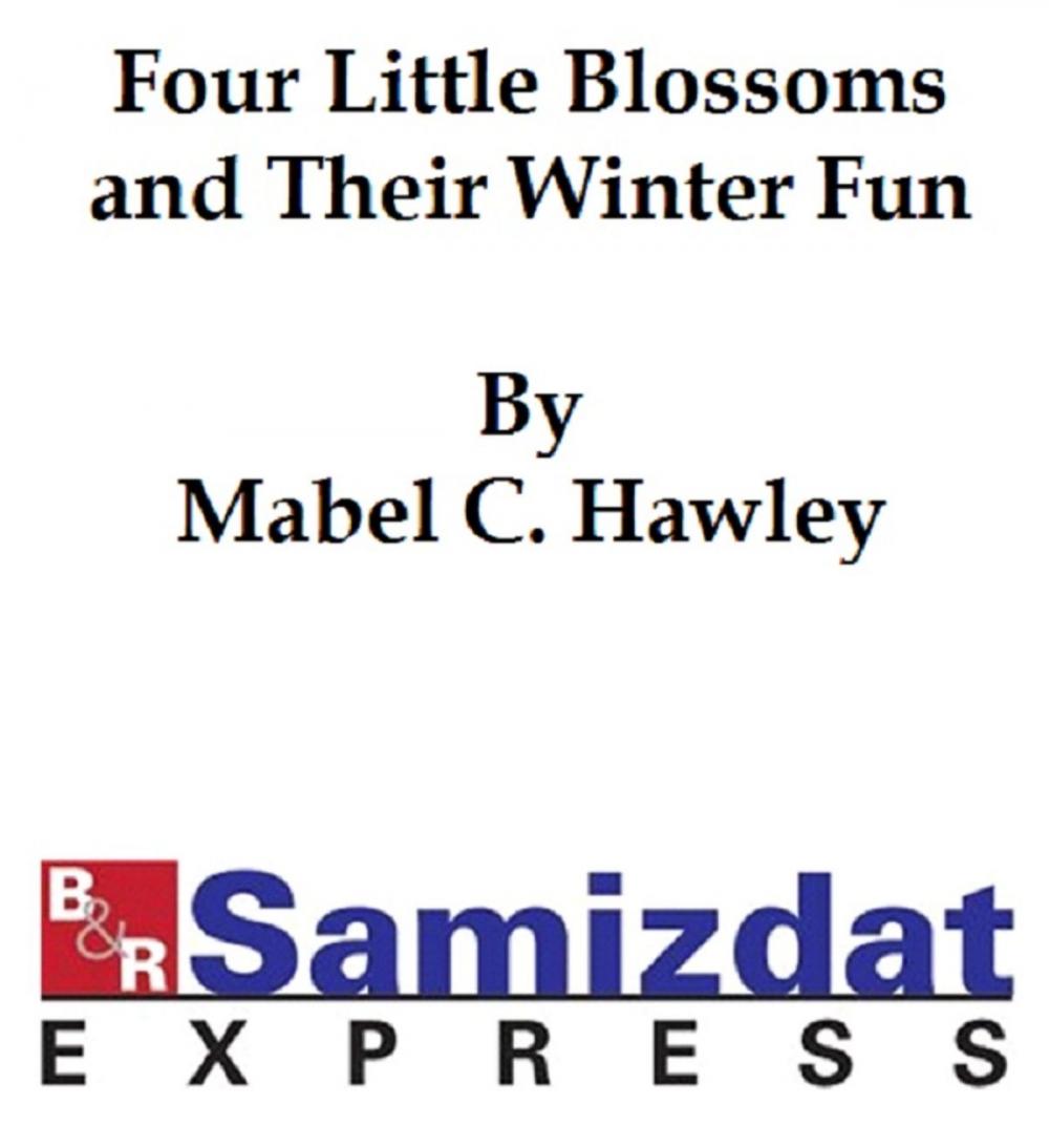 Big bigCover of Four Little Blossoms and Their Winter Fun