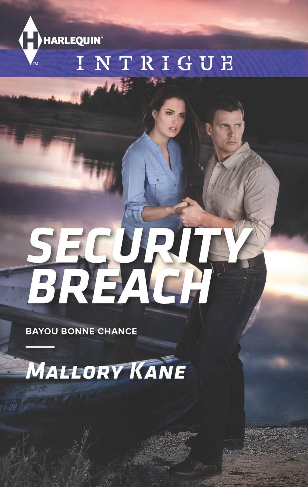 Big bigCover of Security Breach