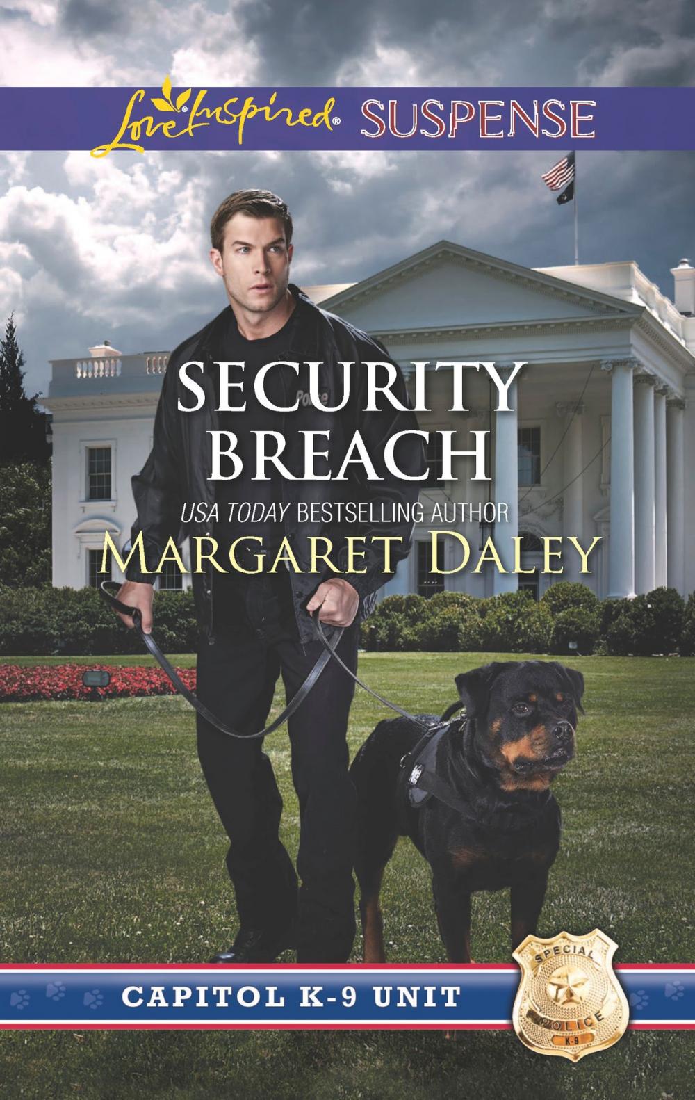 Big bigCover of Security Breach