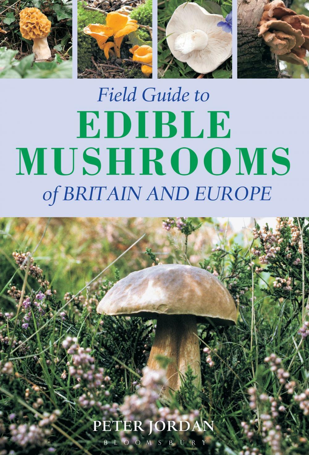 Big bigCover of Field Guide To Edible Mushrooms Of Britain And Europe