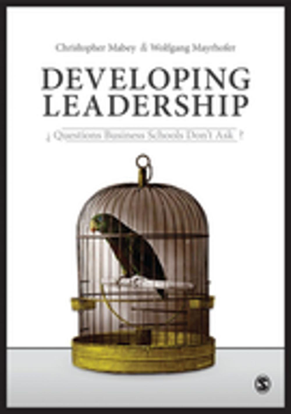 Big bigCover of Developing Leadership