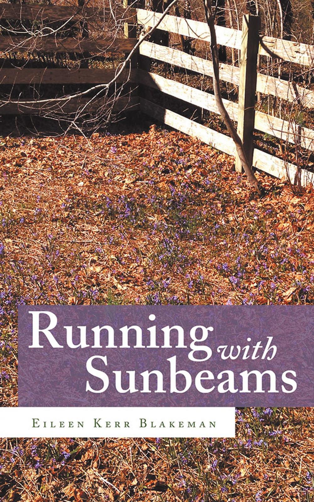 Big bigCover of Running with Sunbeams