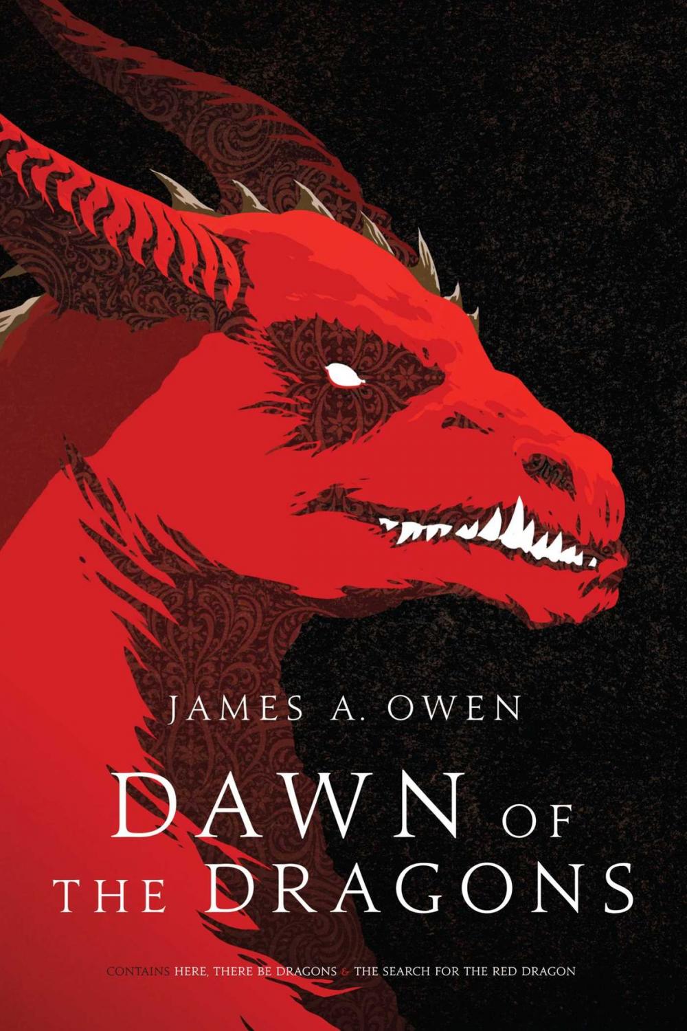 Big bigCover of Dawn of the Dragons