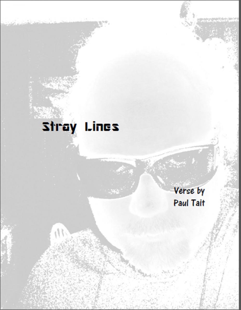 Big bigCover of Stray Lines