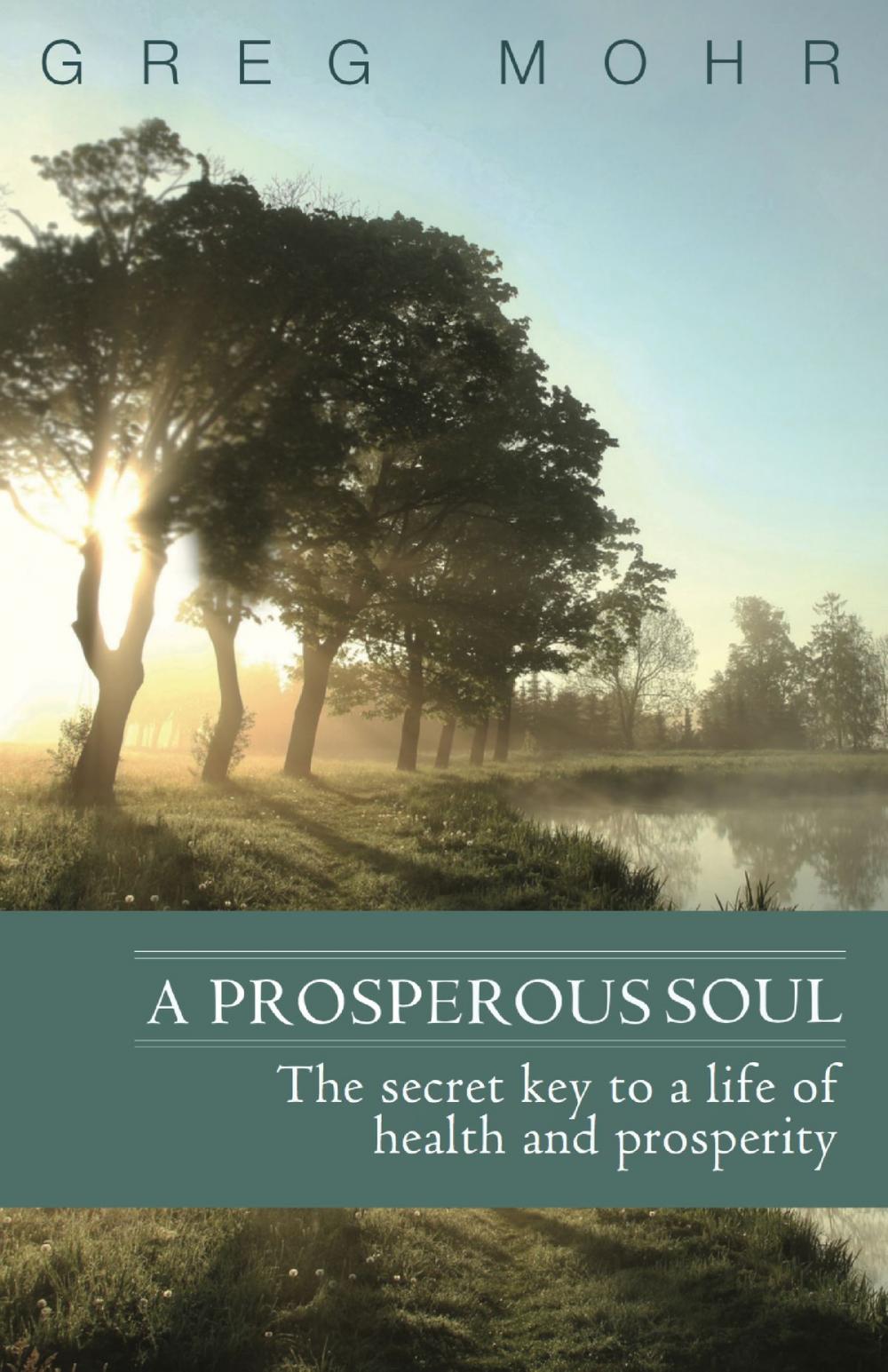 Big bigCover of A Prosperous Soul