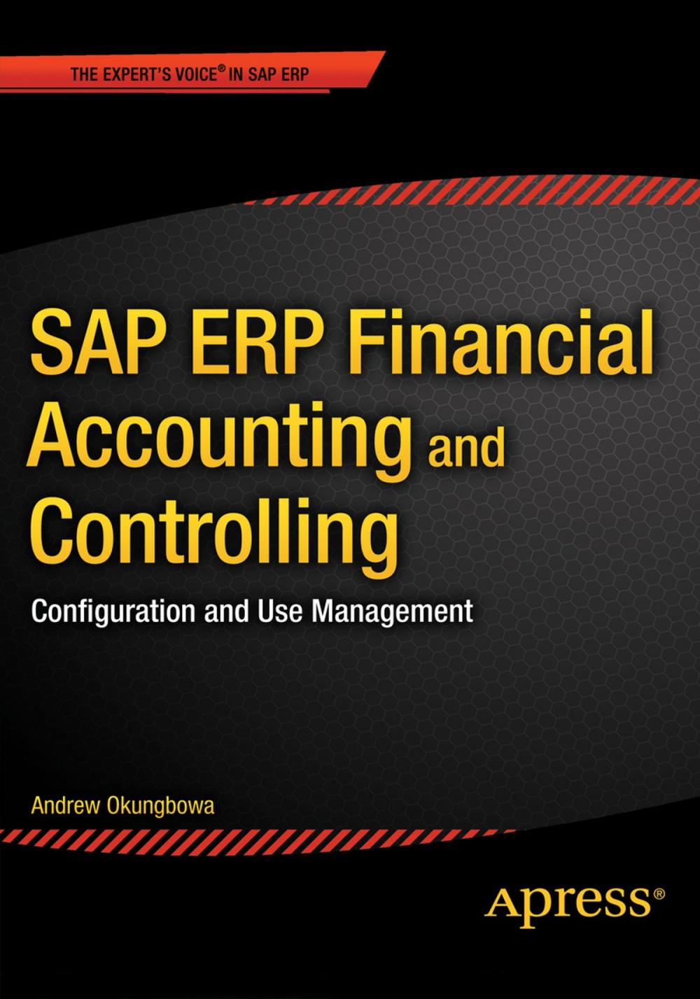 Big bigCover of SAP ERP Financial Accounting and Controlling