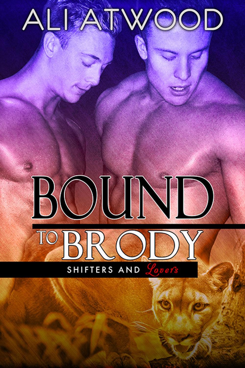 Big bigCover of Bound to Brody