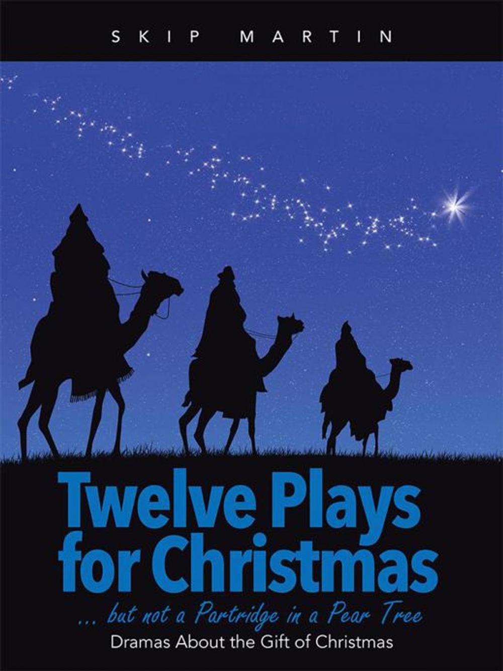 Big bigCover of Twelve Plays for Christmas … but Not a Partridge in a Pear Tree