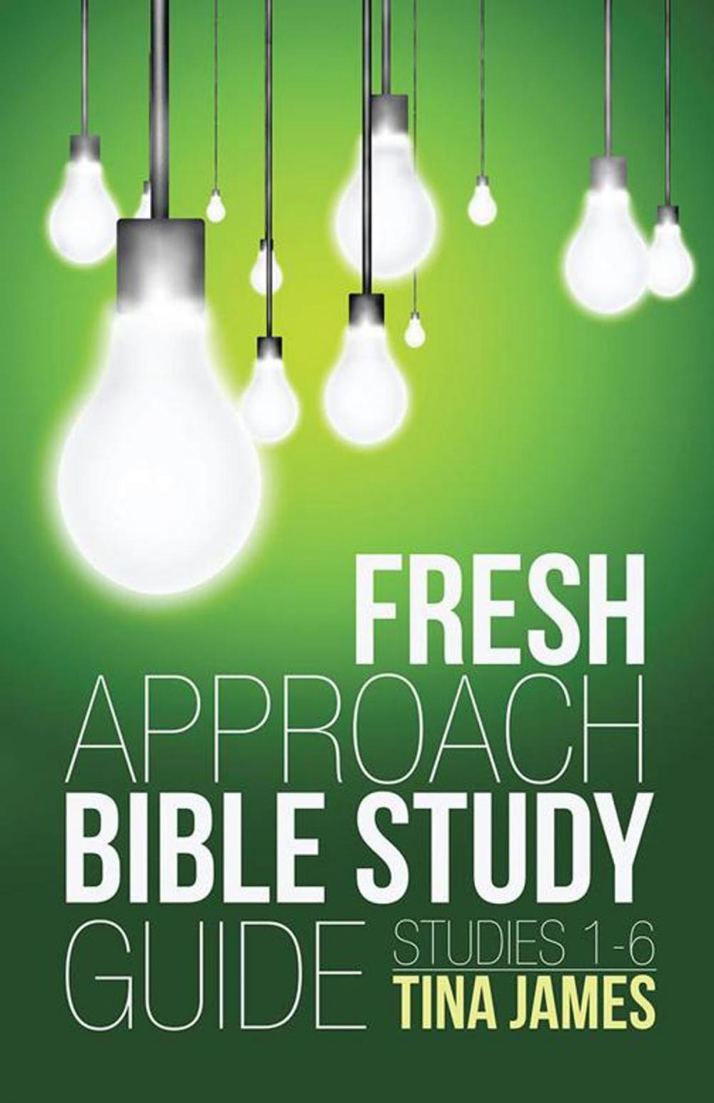 Big bigCover of Fresh Approach Bible Study Guide