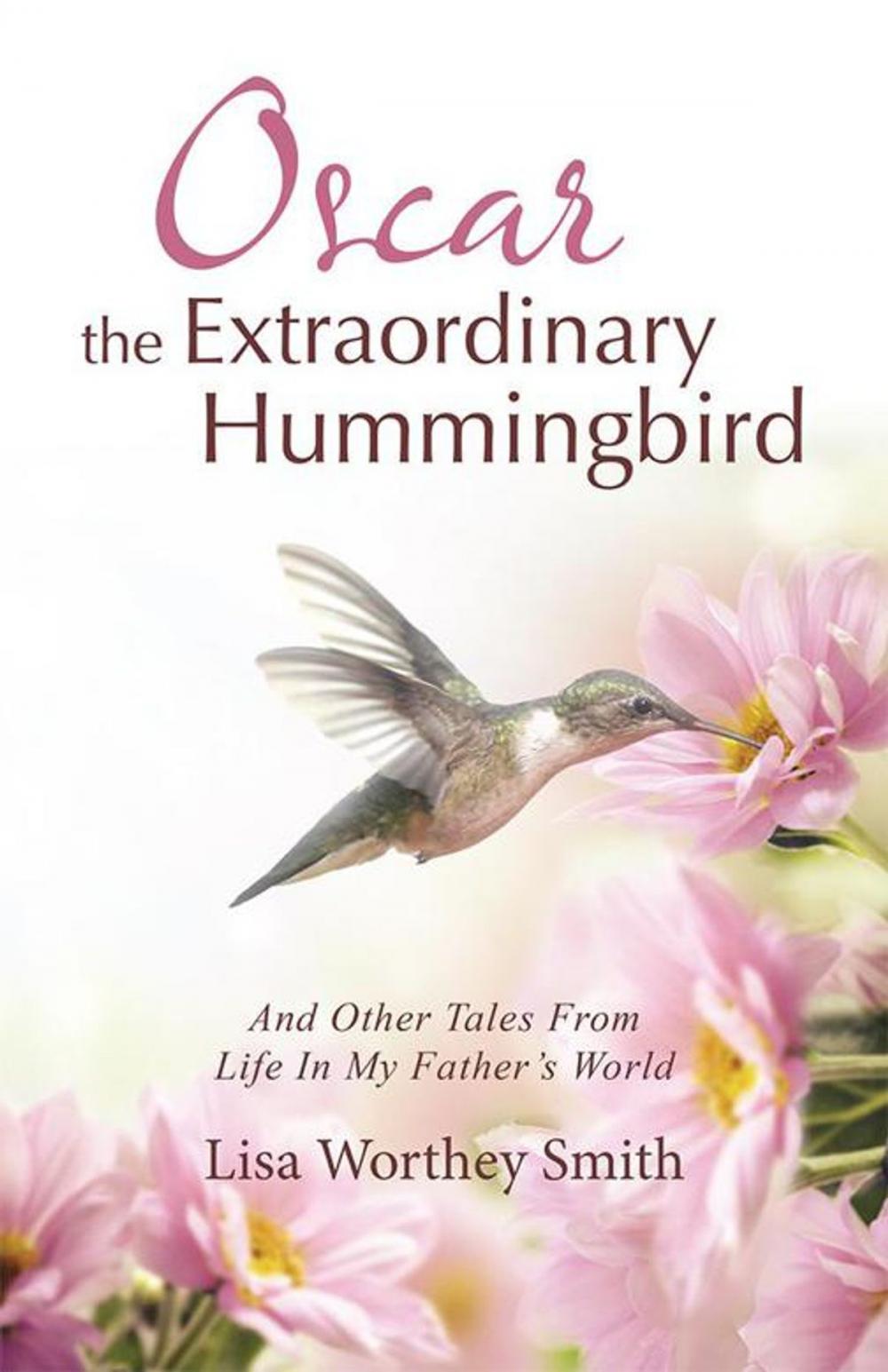 Big bigCover of Oscar the Extraordinary Hummingbird