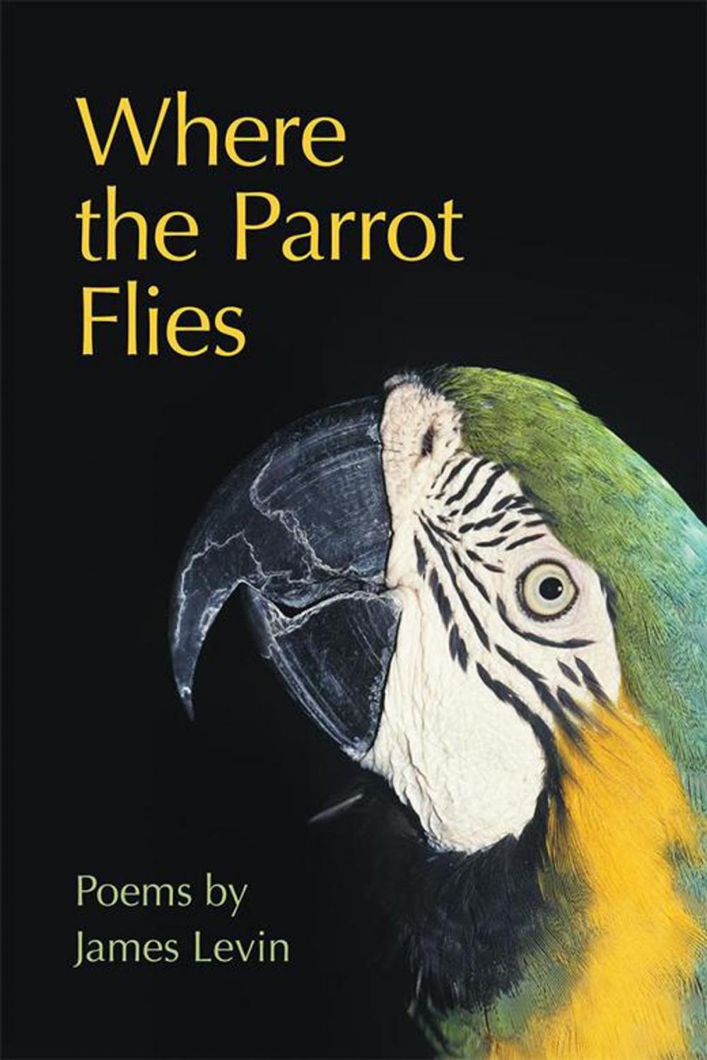 Big bigCover of Where the Parrot Flies