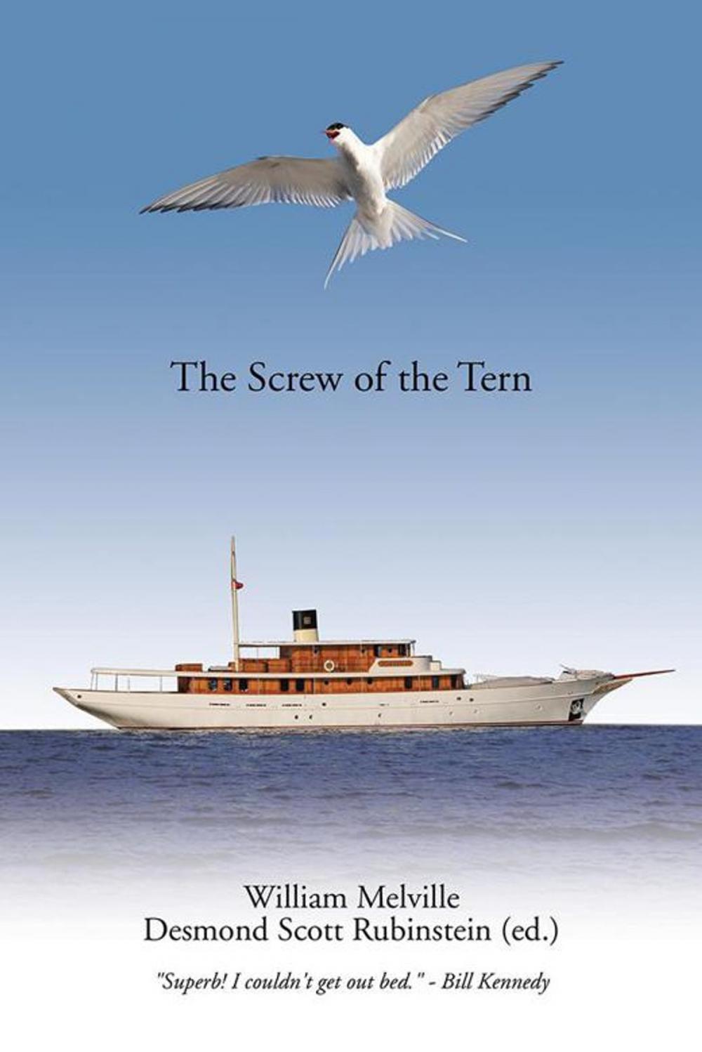 Big bigCover of The Screw of the Tern