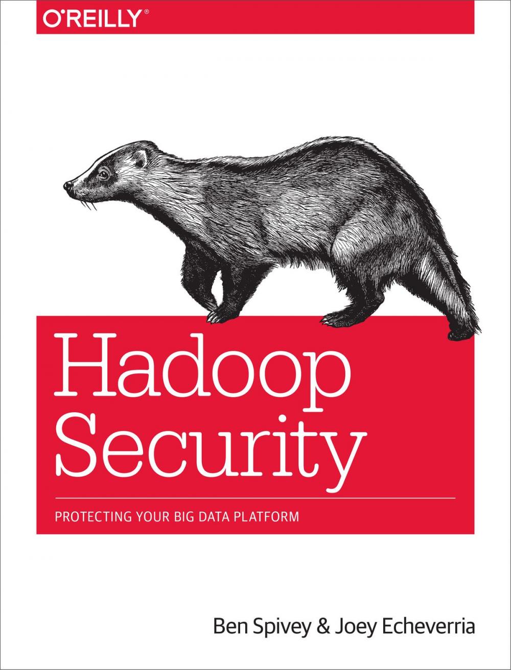 Big bigCover of Hadoop Security