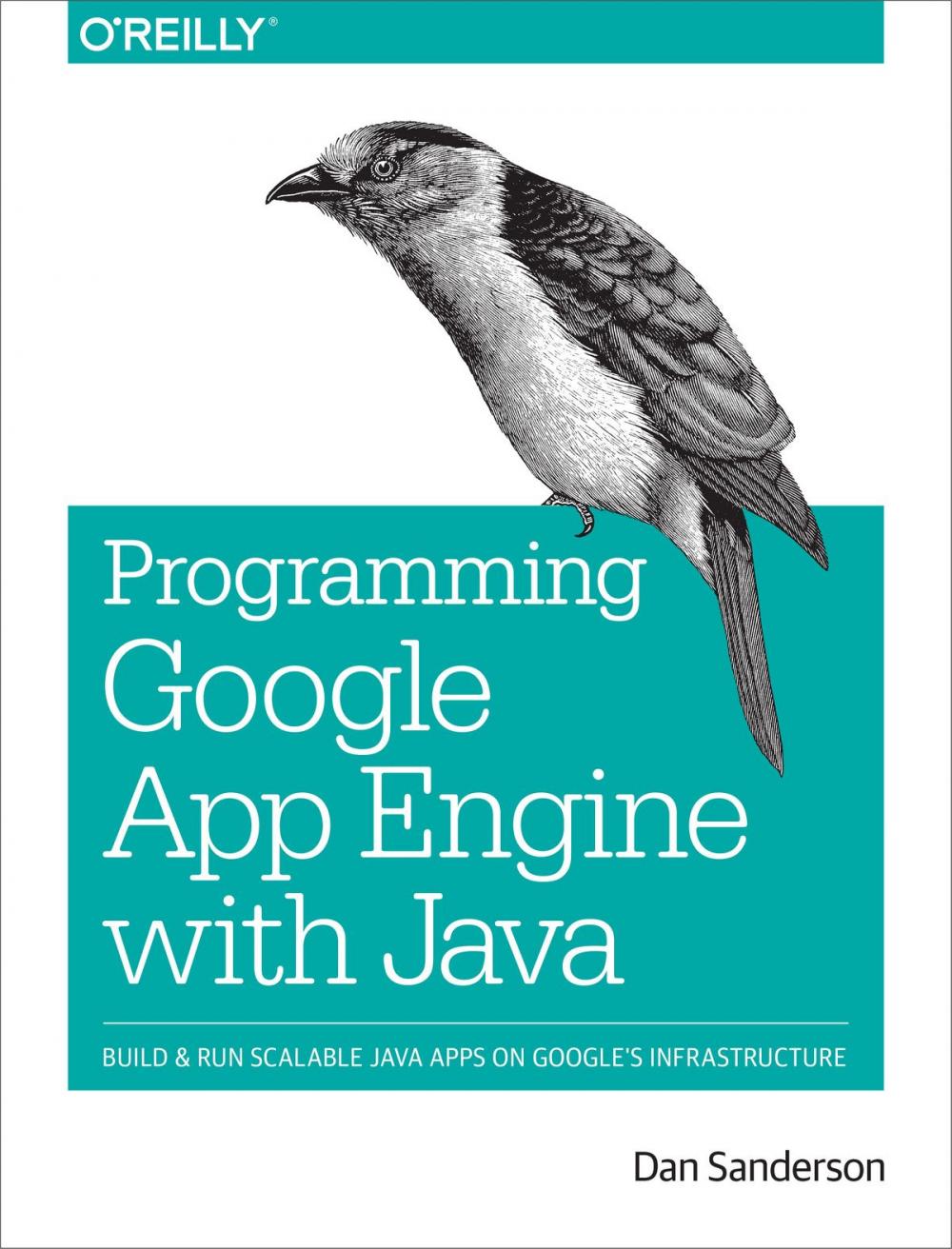 Big bigCover of Programming Google App Engine with Java