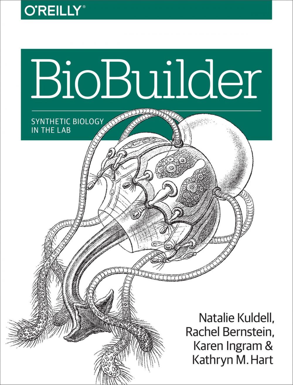 Big bigCover of BioBuilder