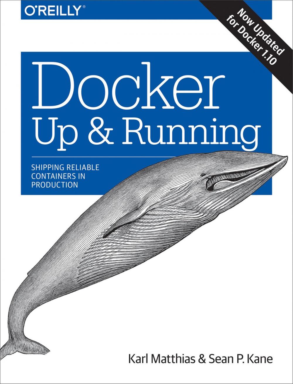 Big bigCover of Docker: Up & Running