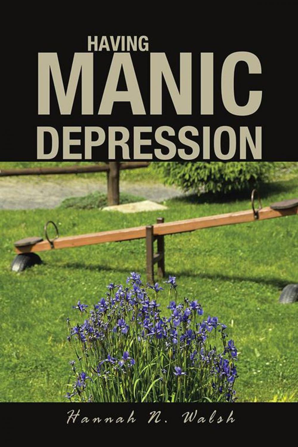 Big bigCover of Having Manic Depression