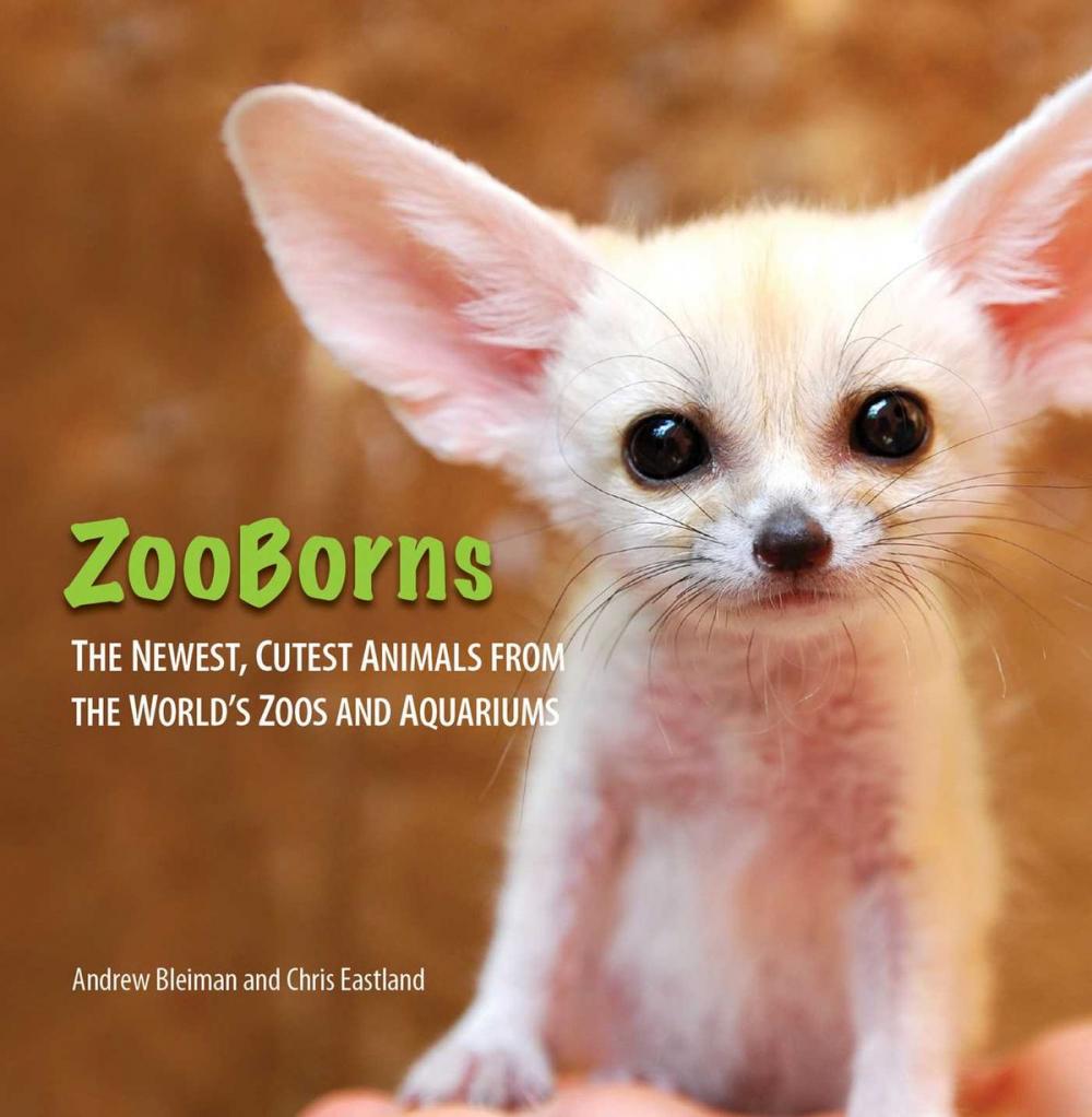 Big bigCover of ZooBorns