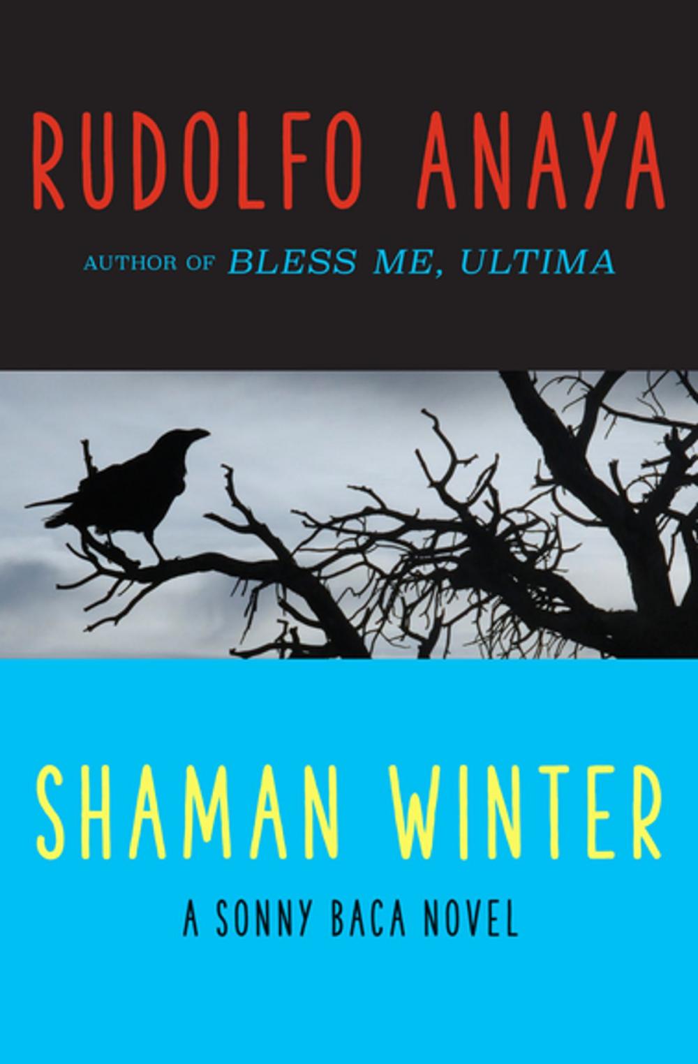 Big bigCover of Shaman Winter