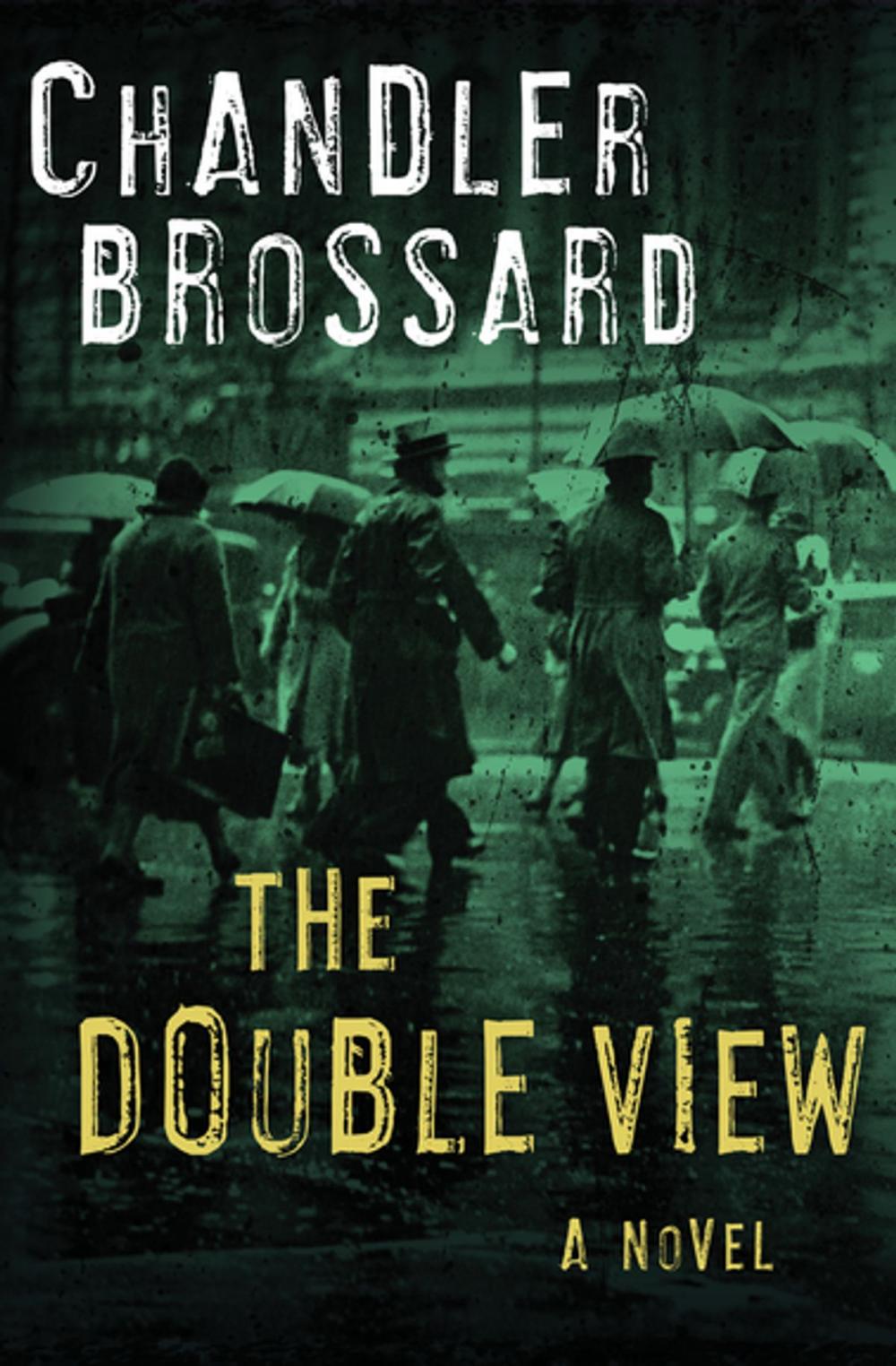 Big bigCover of The Double View