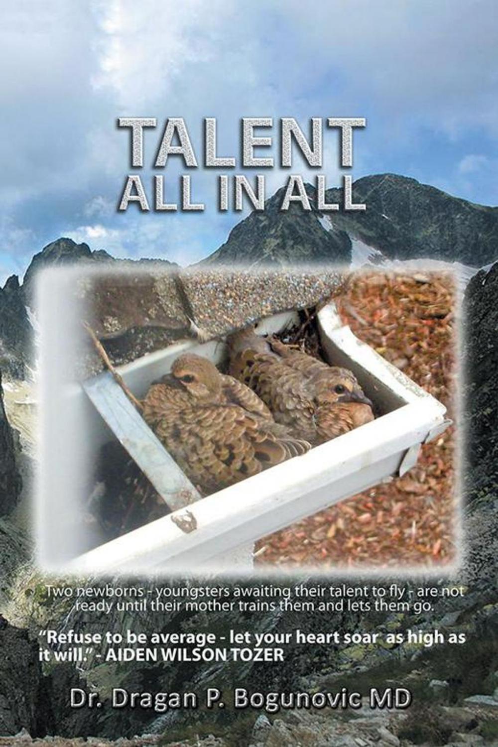 Big bigCover of Talent All in All