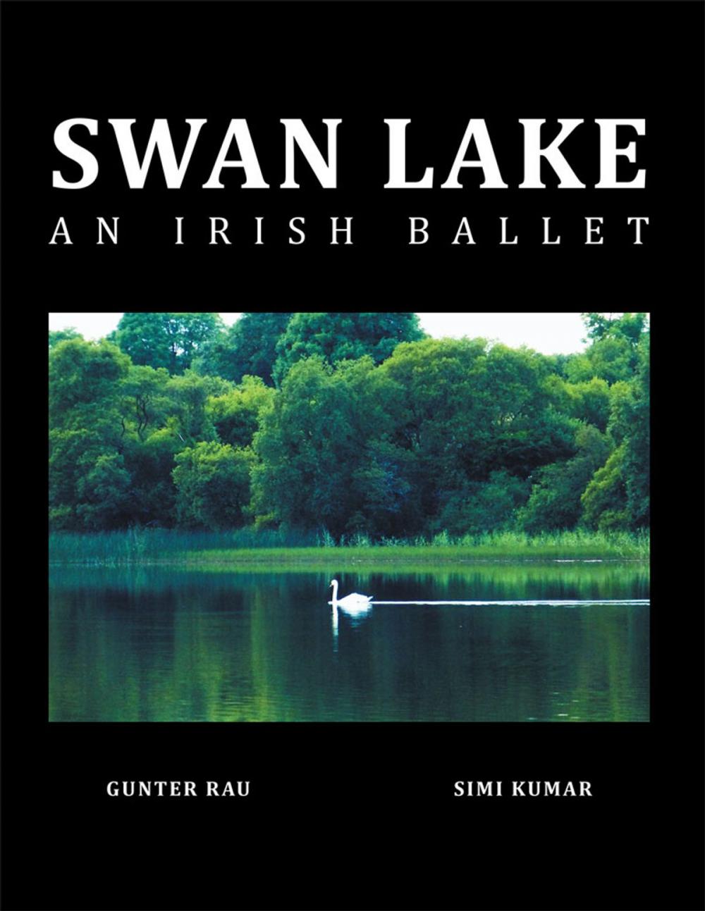 Big bigCover of Swan Lake