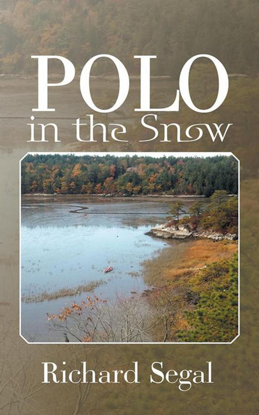 Big bigCover of Polo in the Snow