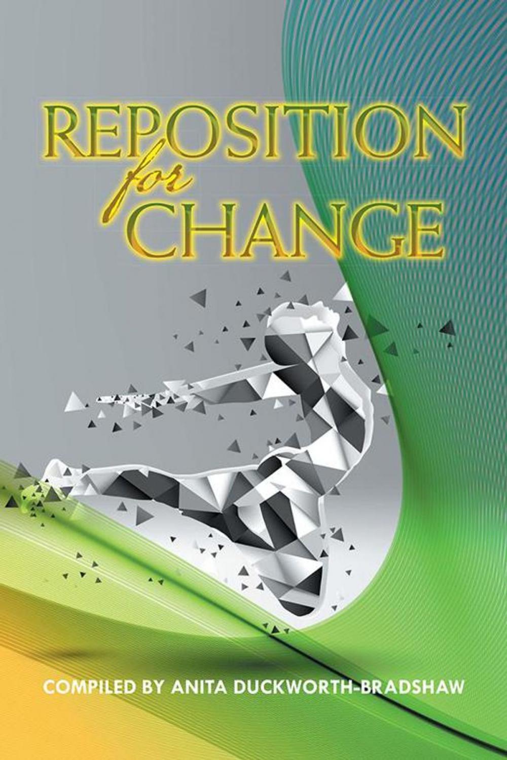 Big bigCover of Reposition for Change