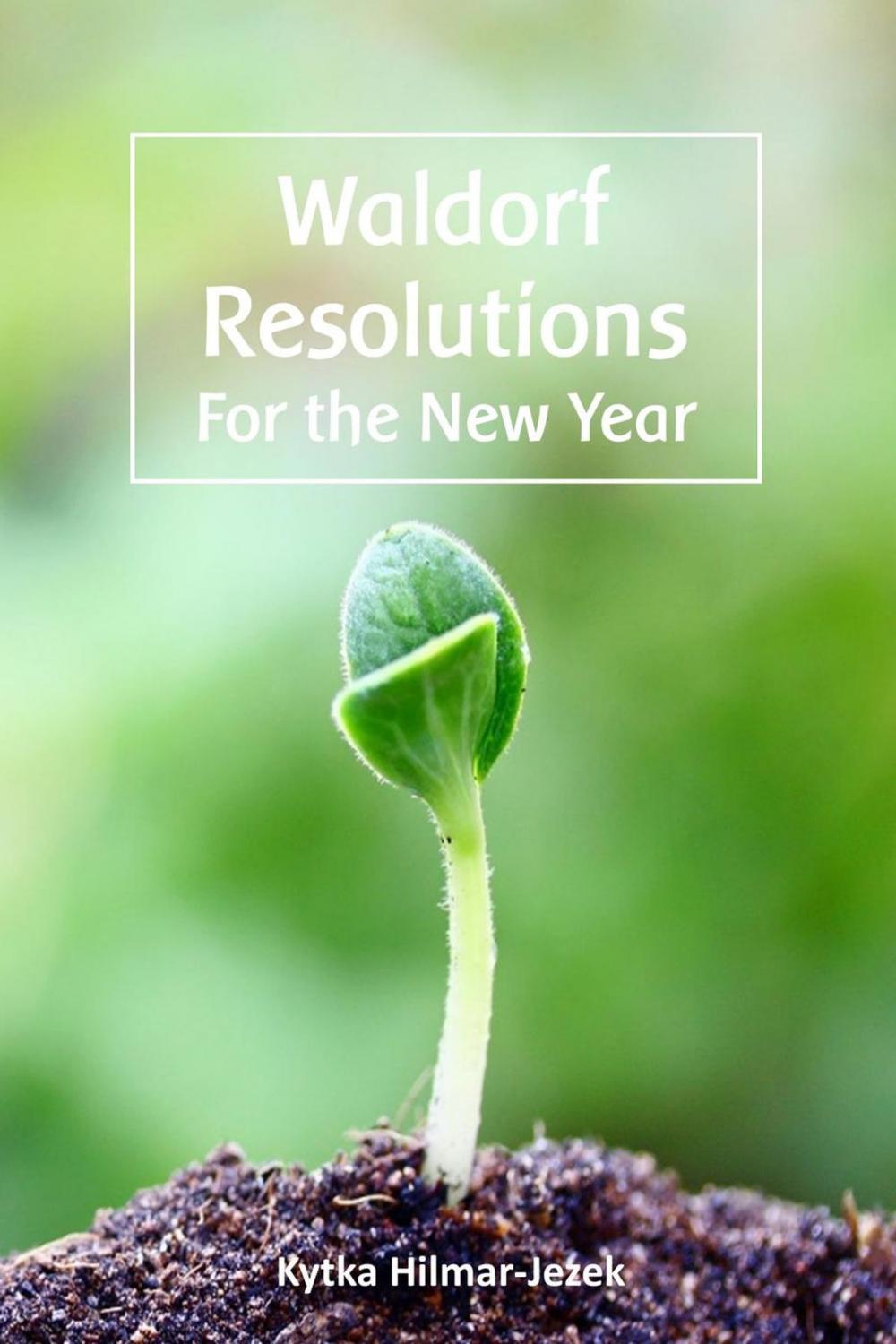 Big bigCover of Waldorf Resolutions for the New Year: 10 New Year's Resolutions for a Waldorf Inspired Homeschooling Parent