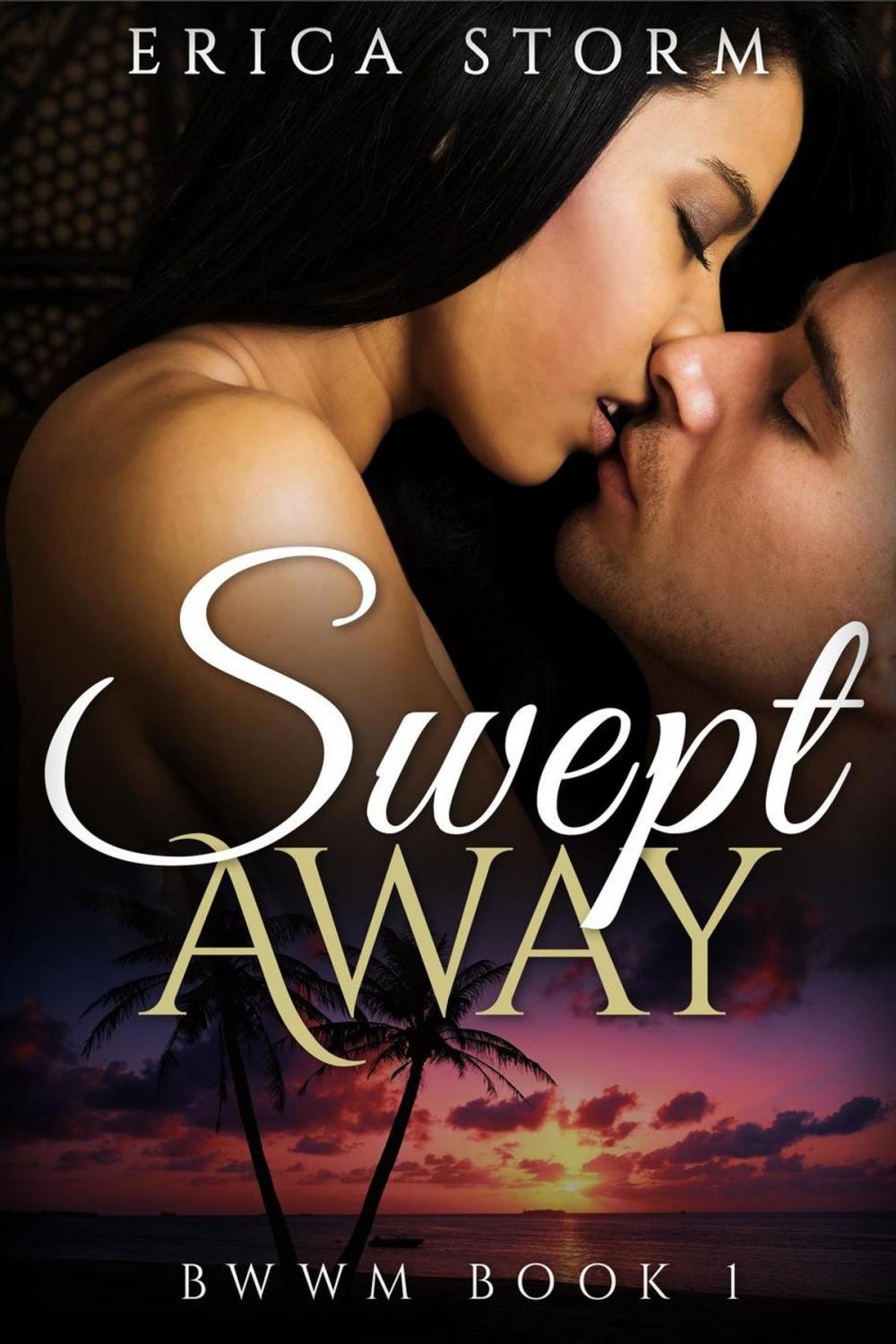 Big bigCover of Swept Away book 1