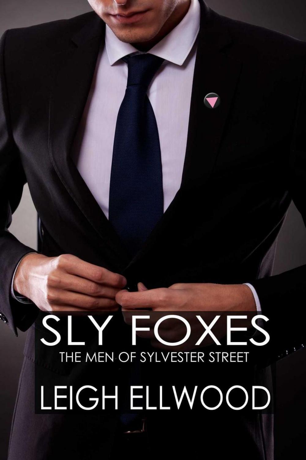 Big bigCover of Sly Foxes