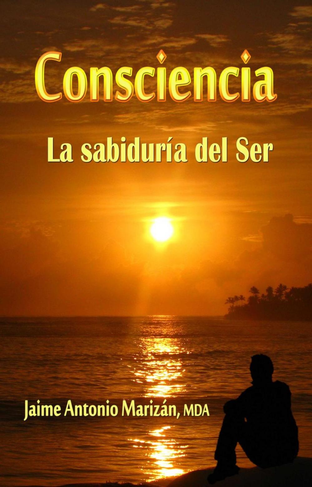 Big bigCover of Consciencia