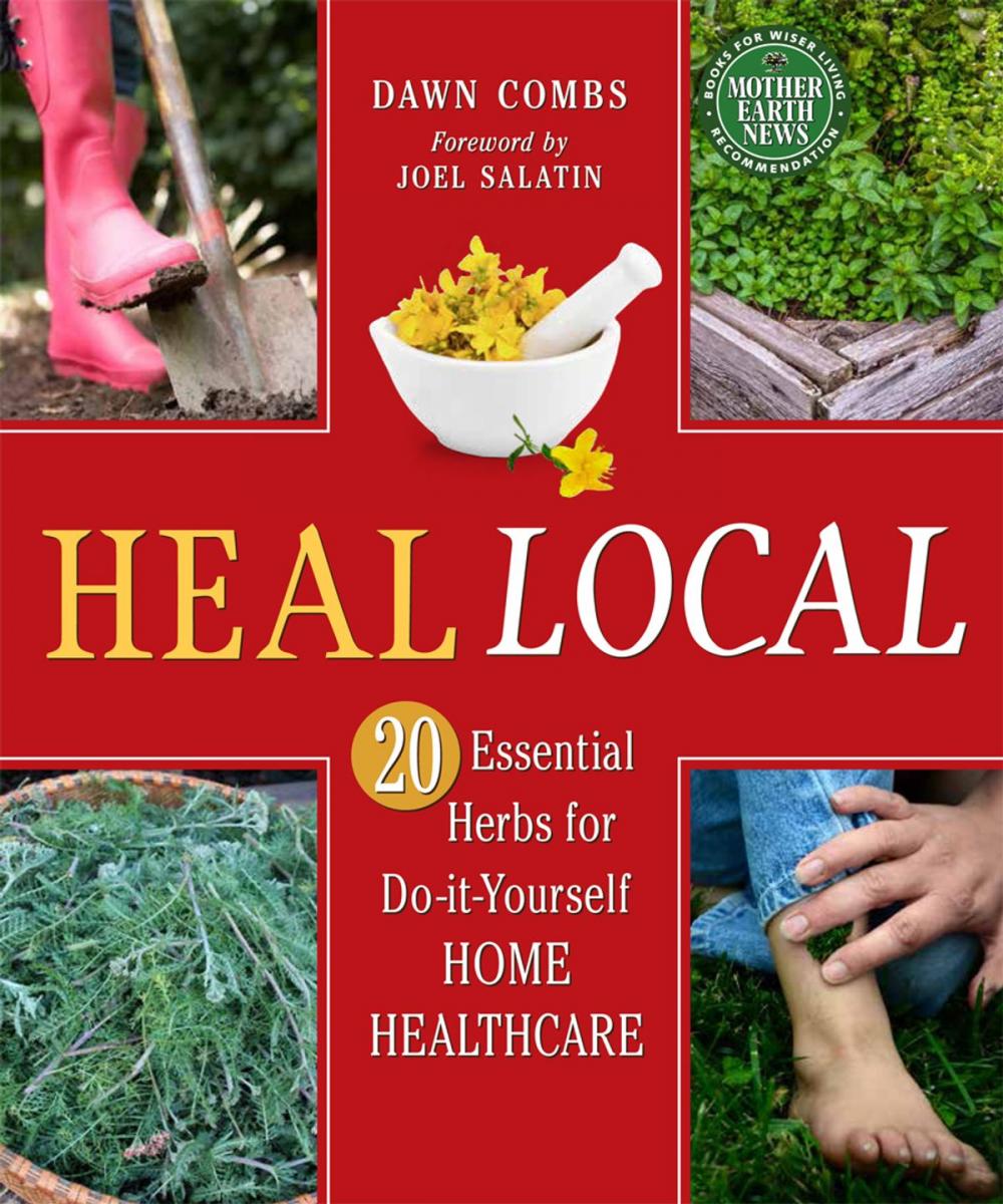 Big bigCover of Heal Local