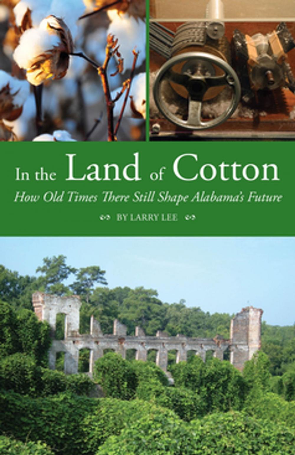 Big bigCover of In the Land of Cotton