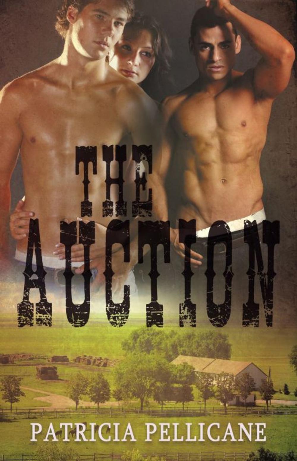 Big bigCover of The Auction